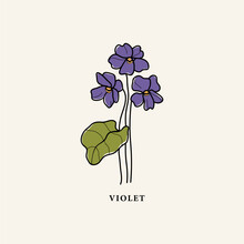 Line Art Violet Flower Drawing