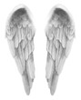 canvas print picture - Finely detailed illustration of a Pair of silver grey Angel Wings isolated transparent png file 
