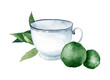 Tea with bergamot. Watercolor hand drawn illustration