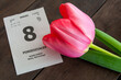 Dzień kobiet. Kartka z kalendarza. Tulipan z okazji Dnia Kobiet. 8 marca.