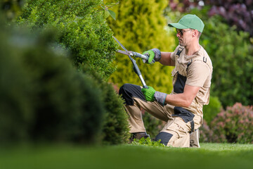 Wall Mural - Professional Gardener Performing Garden Plants Maintenance