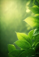 Background With Bright Green Leaves On A Blurred Backlit Background, Generative AI