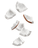 Falling coconut, isolated on white background, full depth of field