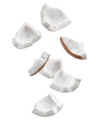 Wall Mural - falling coconut, isolated on white background, full depth of field