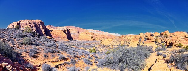 Wall Mural - Snow Canyon State Park Red Sands views from hiking trail  Cliffs National Conservation Area Wilderness St George, Utah, United States.