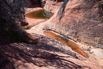 Wall Mural - Snow Canyon State Park Red Sands views from hiking trail  Cliffs National Conservation Area Wilderness St George, Utah, United States.