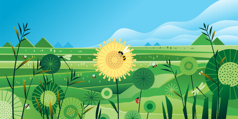 Meadow hills Nature landscape green grass Rural beautiful summer field sunflower and grass in front blue sky