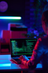 seen from behind modern female with laptop developing program