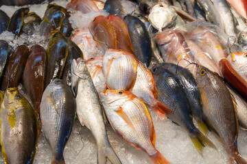 Canvas Print - Fresh raw fish selling in wet market