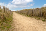 Fototapeta Na ścianę - walkway to the beach by the sea.