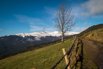 Wall Mural - Wooden fences on steep slope with lonely tree landscape photo. Nature scenery photography with snow capped mountains on background. Ambient light. High quality picture for wallpaper, travel blog