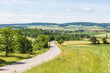 © Westend61 - Austria, Lower Austria, Kreuzstetten, View of country road in summer