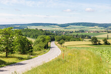 Austria, Lower Austria, Kreuzstetten, View Of Country Road In Summer
