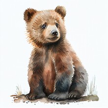 Portrait Of A Cute Baby Bear, Watercolor Illustration