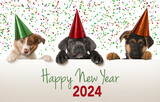 Fototapeta Psy - Happy New Year Puppies looks over a wall
