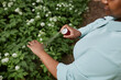 © Seventyfour - Closeup of black woman spraying arms with bug repellent outdoors, copy space