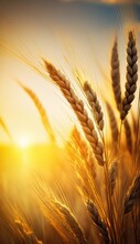 Beautiful Wheat Field In The Sunset Made With Generative Ai