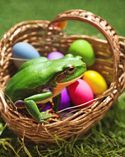 Classicnegative Photo, Cute Frog Lamb In An Easter Basket Full Of Colorful Easter Eggs, Cinematic Lighting, Film, Photography, Golden Hour, Depth Of Field
