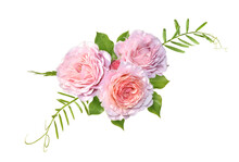 Bouquet Of Pink Roses Isolated On Transparent Background.  Flower Composition , Flowers With Green Leaves. 