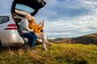 © Zoran Zeremski - Senior couple sitting against the car, resting after hiking in countryside takes photo with smart phone.