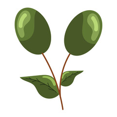 Sticker - olives plant icon