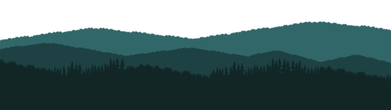Fototapete - Forest blackforest vector illustration banner landscape panorama - Green silhouette of spruce and fir trees, isolated on white background..