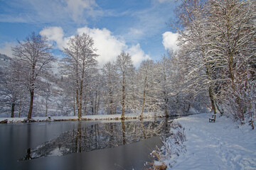 Canvas Print - étang en hiver dans les Vosges