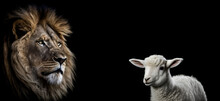 The Lion And The Lamb Are Descriptions Of Two Aspects Of The Nature Of Christ.  Lion Of The Tribe Of Judah.  Image On Black Background Created With Generative Ai. 