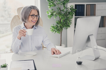 Poster - Portrait of positive successful lady sitting chair hand hold fresh coffee mug keyboard typing online negotiations workstation indoors