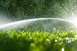 Water splash spray at the grass or garden field could be from hose or garden sprinkler. Watering the plant.