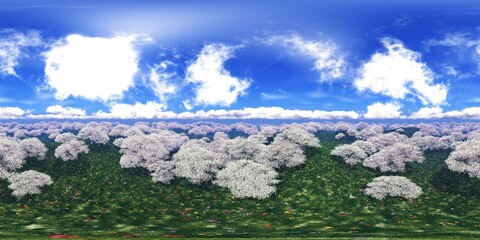 Spring meadow with flowers,, HDRI,  environment map , Round panorama, spherical panorama, equidistant projection, panorama 360, 3d rendering