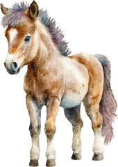 Aufkleber - Cute little pony illustration created with Generative AI technology