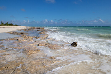 Wall Mural - rocky shore on a tropical beach