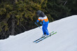 Skiing with Nature: A Young Skier Zipping Downhill Alongside a Lush Forest of Coniferous Trees