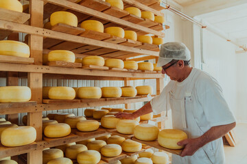 A worker at a cheese factory sorting freshly processed cheese on drying shelves