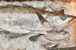 Fresh fish just caught in ice in a fish market box