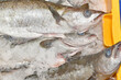 Fresh fish just caught in ice in a fish market box