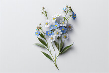 Flowers Creative Composition. Bouquet Of Forget Me Not Flowers Plant With Leaves Isolated On White Background. Flat Lay, Top View, Copy Space	