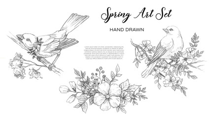 Wall Mural - Beautiful spring art set with birds and flowers hand drawn line.