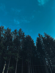 sky and clouds and forest