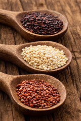 Wall Mural - Chenopodium quinoa - White, red and brown quinoa seeds in spoon