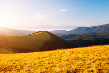 Affiche - Morning mountain meadows illuminated by the sun on a summer day. Carpathian mountains, Ukraine.