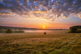 Fototapeta Kwiaty - sunrise in Roztocze valley, Dahany