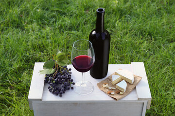 Poster - Red wine and snacks for picnic served on green grass outdoors