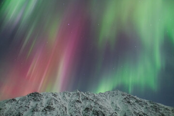 stunning aurora borealis lights seen in northern canada during winter time with snow capped mountain