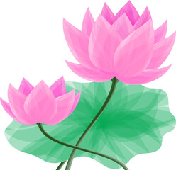 Wall Mural - Abstract art lotus flower