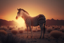 A Portrait Of A Zebra In A Field Standing In Front Of A Sunset, Generative AI