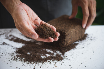 Coco peat for gardening