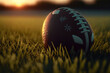 american football ball in the grass