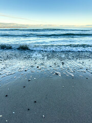 Wall Mural - Sea coast with seashells and texture waves, sea lanscape.